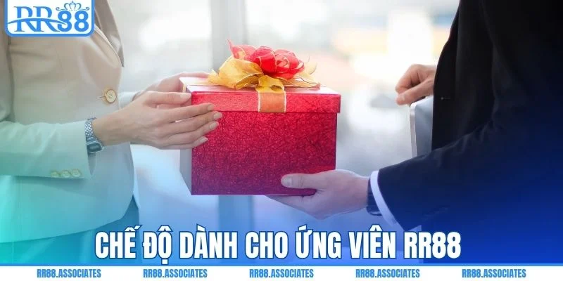 Chế độ dành cho ứng viên RR88 